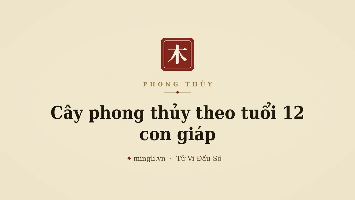 minh hoạ: cây phong thủy trong nhà