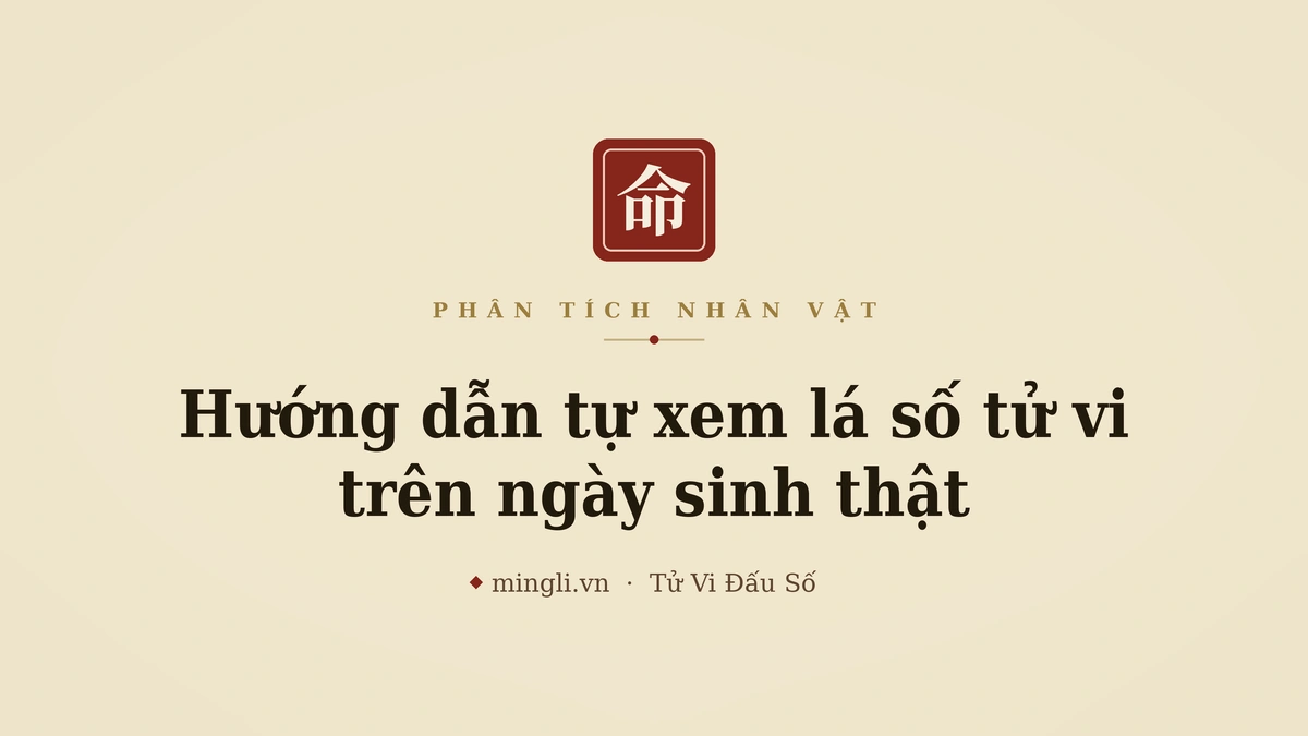 minh hoạ: lá số tử vi 12 cung