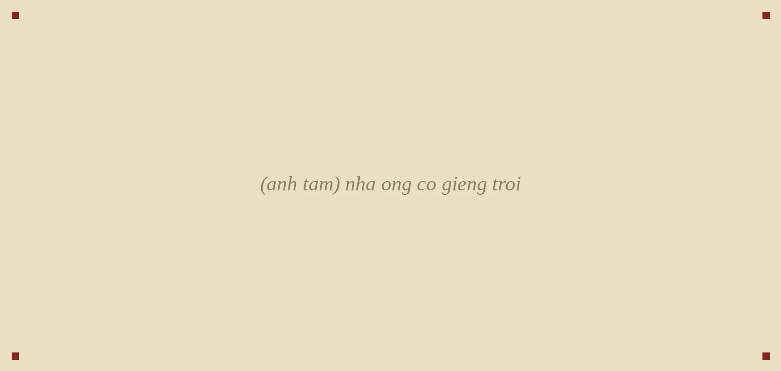 nhà ống có giếng trời